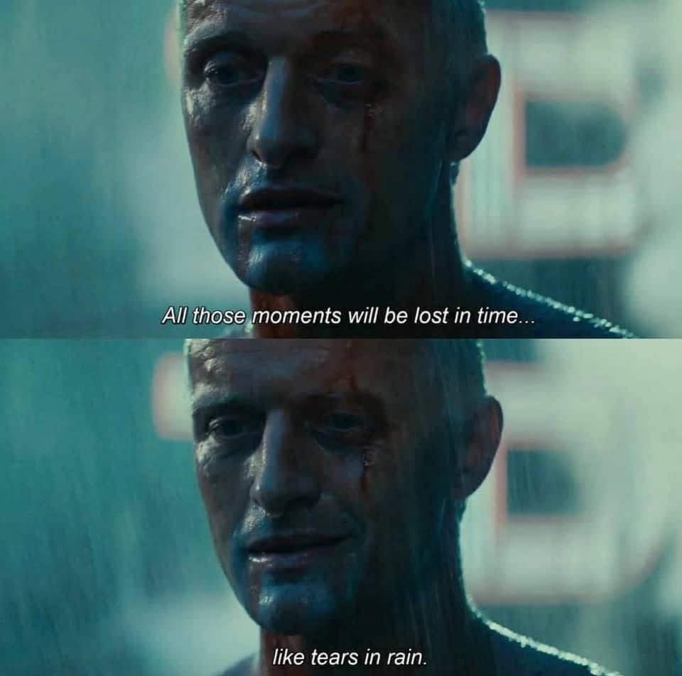 Verønica 🦉 tweet media