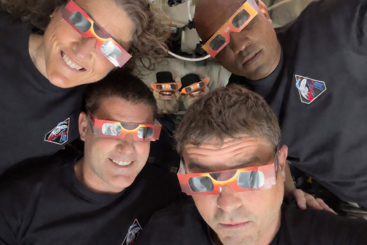 Sₚₒₙgₘₒₙₖₑyₛ tweet media