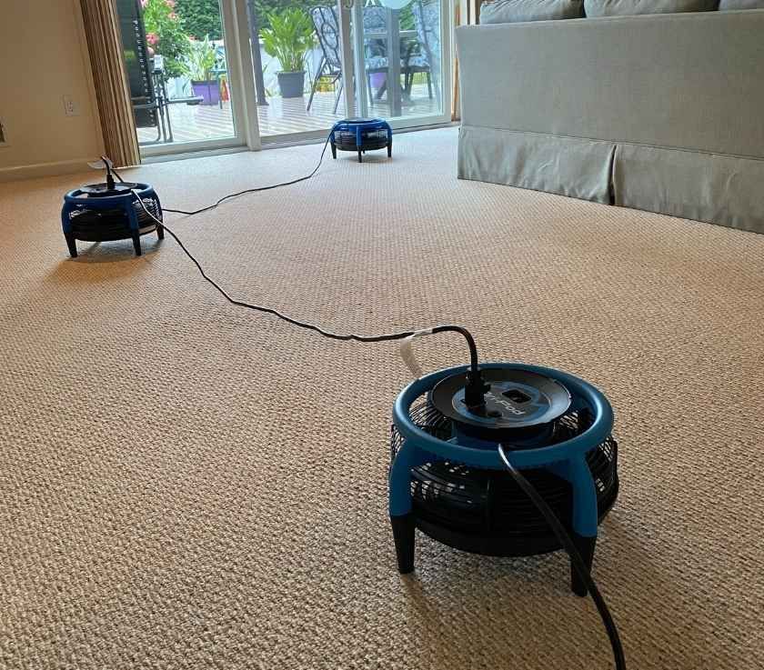 Pure Surface Care tweet media