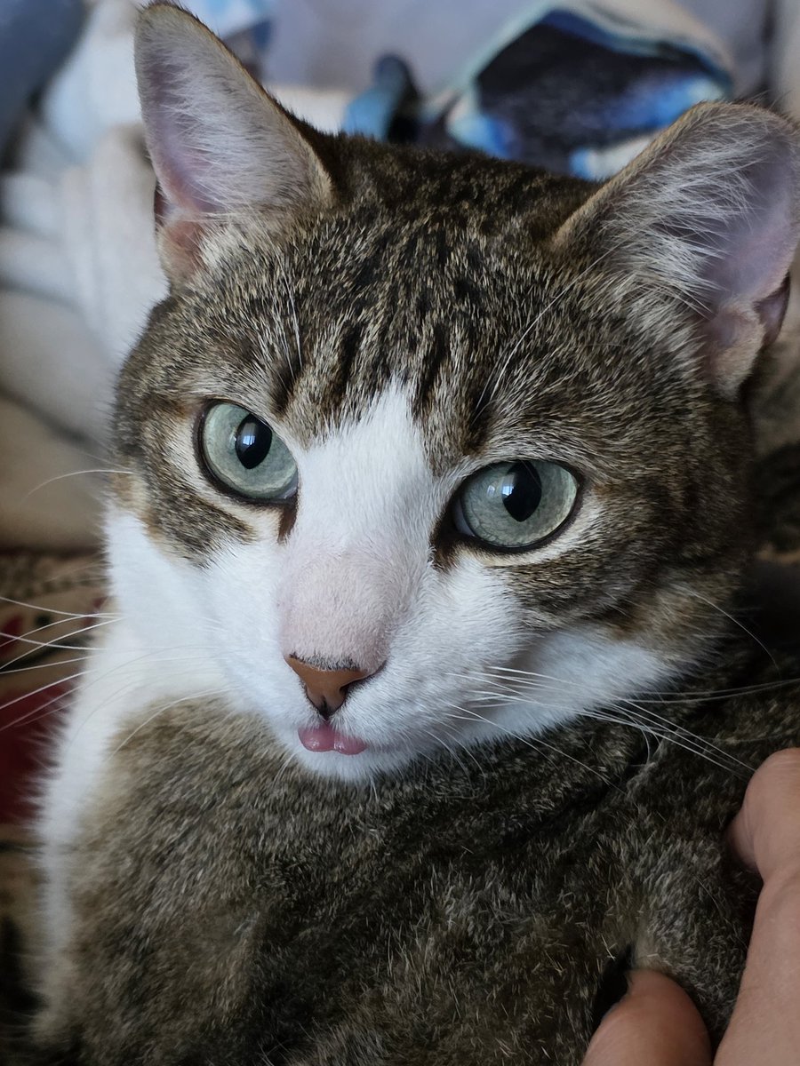 Kᴀᴍɪ ☁️ tweet media