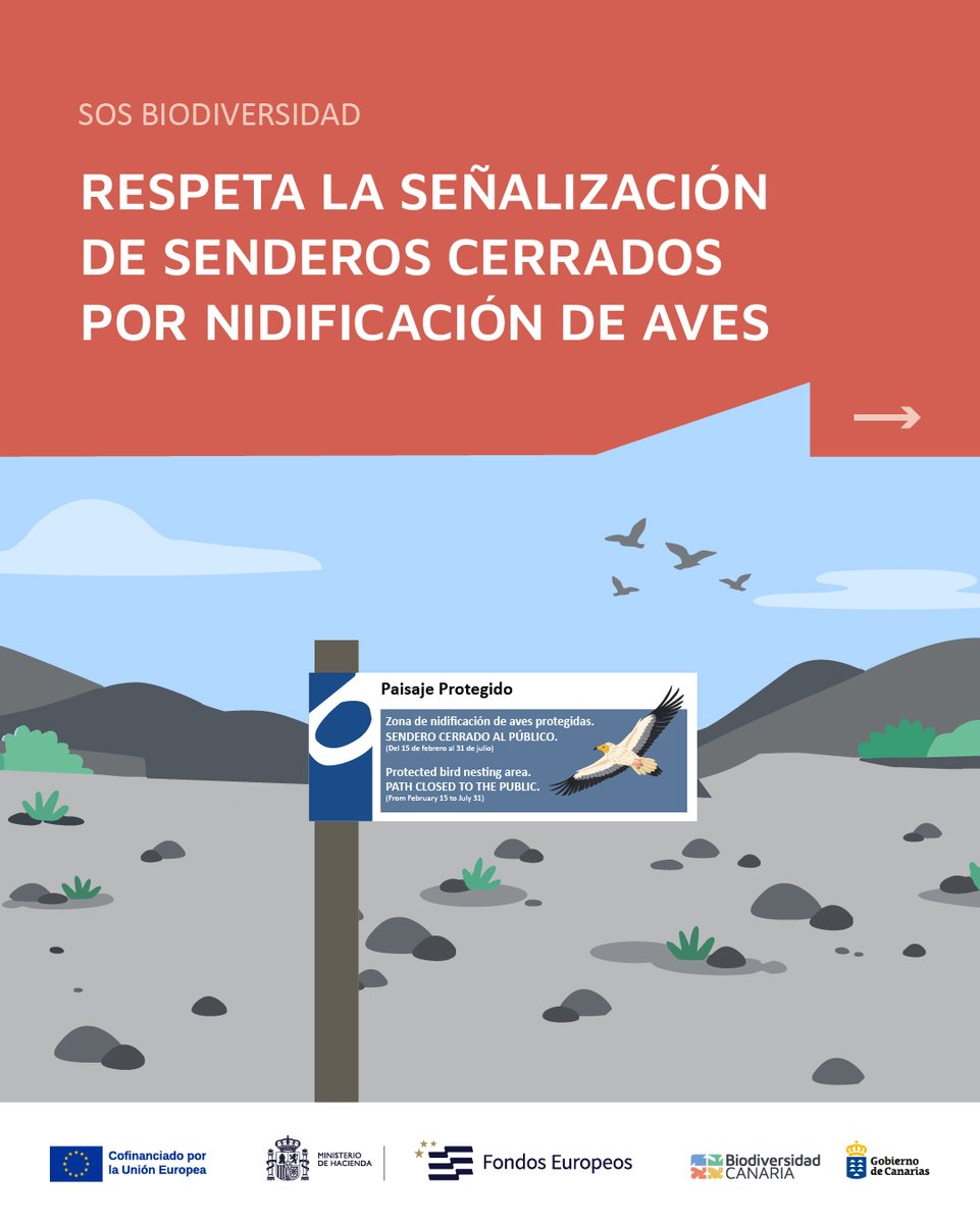 Biodiversidad GobCan tweet media