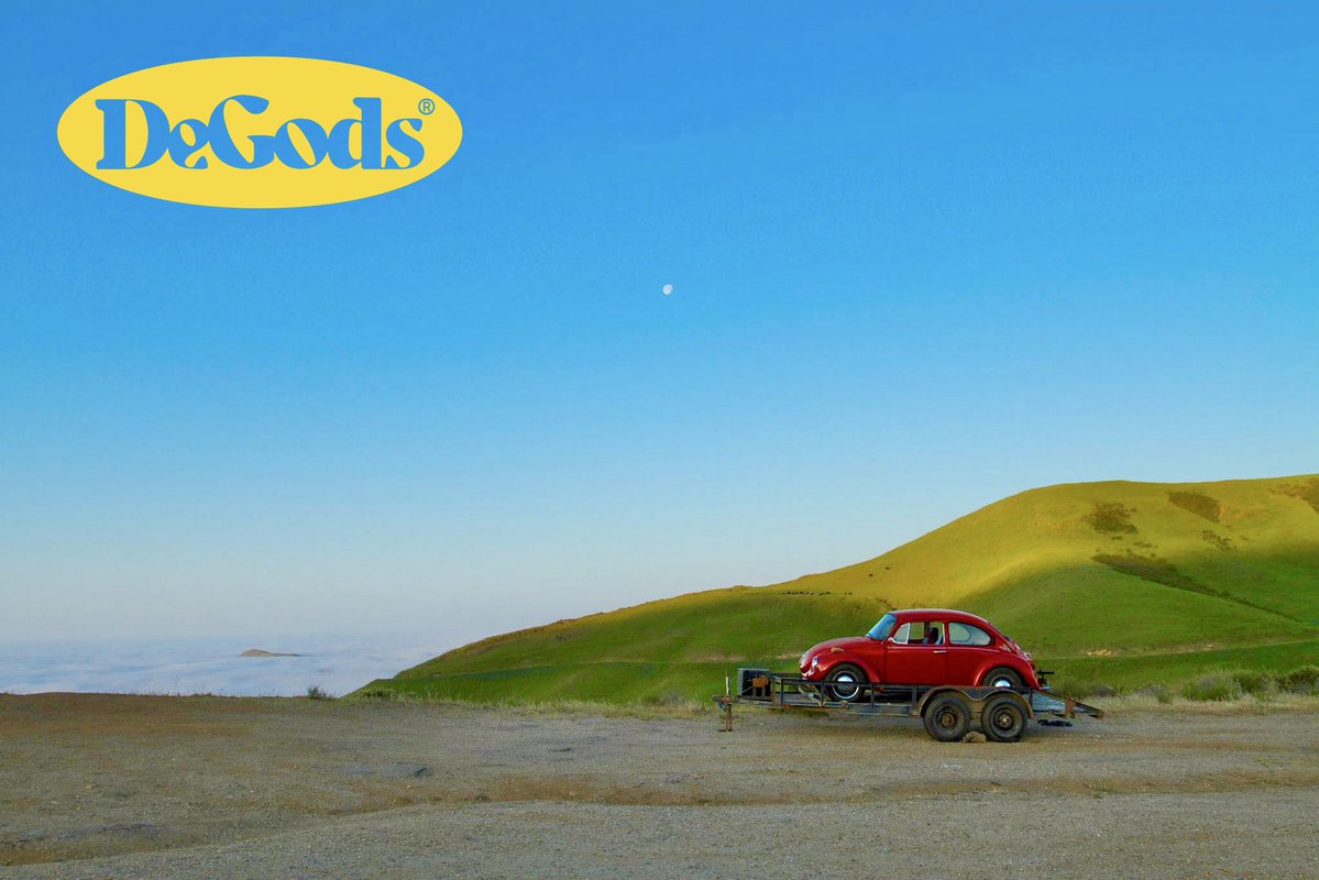 Evergreen_Jones tweet media