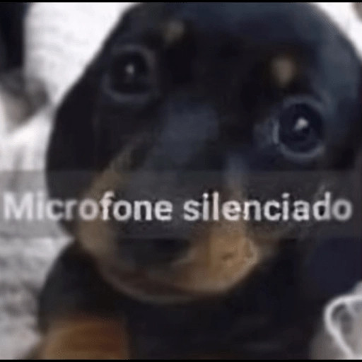 beka vermelhoverde ❤️💚 tweet media