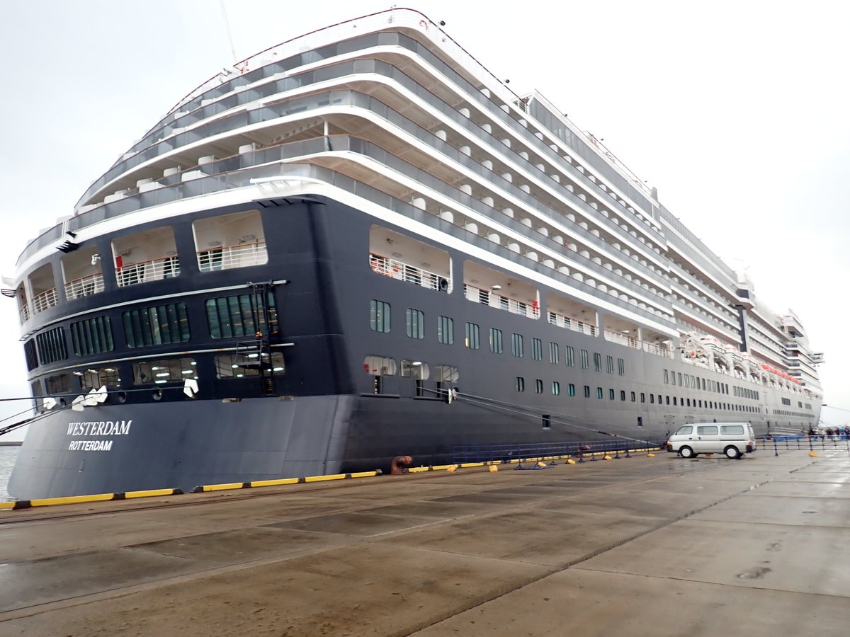 Sho Sasaki tweet media