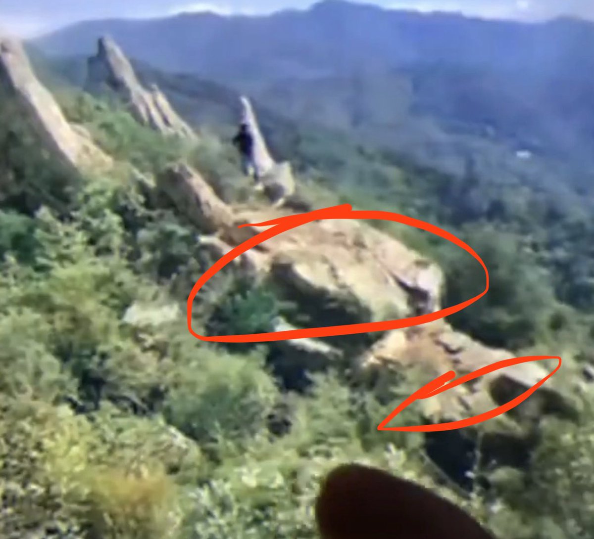 Murph - Royals Fan tweet media