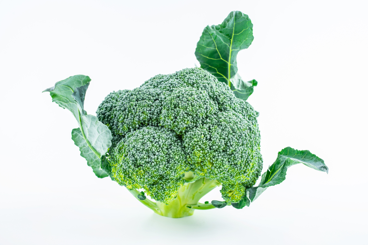 Sevada Ohanyan tweet media