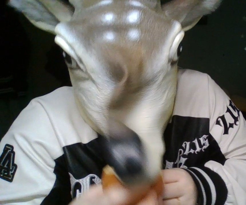 켈쇼토 tweet media