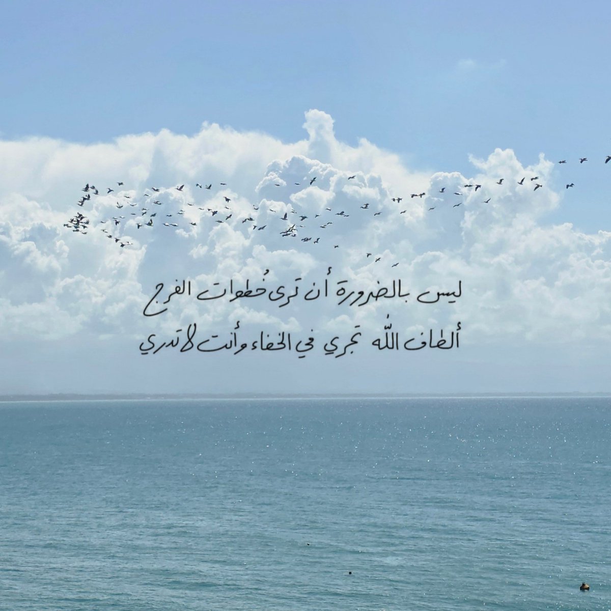 أمجَد tweet media