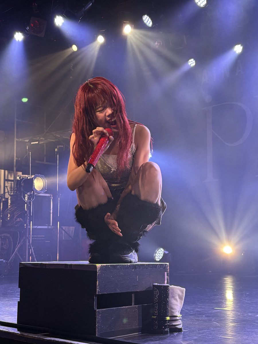 ましゅまろモンスター🍌 tweet media