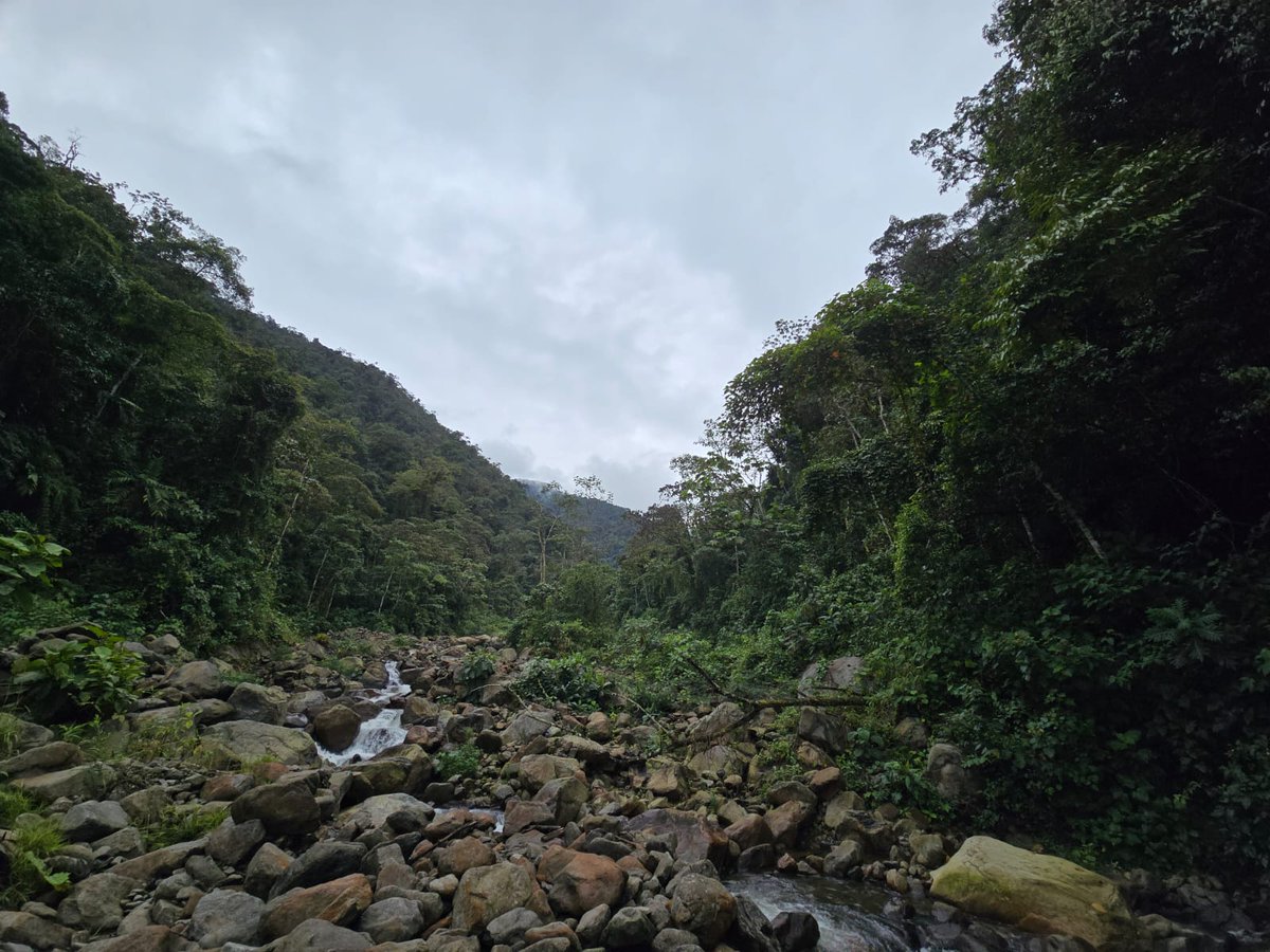 UBPDcolombia's tweet photo. #UBPDRegionalNoroccidente 📍

🟣 En los límites entre #Antioquia y #Caldas, el trabajo investigativo y forense permitió recuperar el cuerpo de una persona dada por desaparecida, cuya localización fue posible por aportes de información de firmantes del Acuerdo de Paz. https://t.co/4cwruaDhIG
