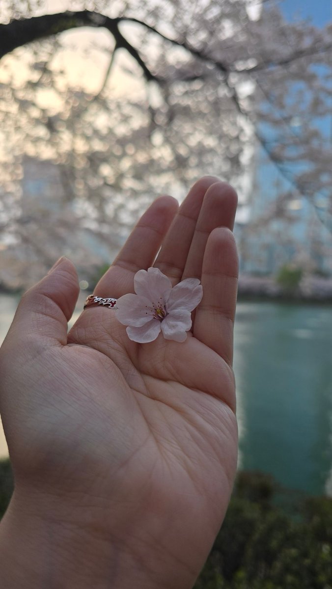 Sayho🍩 🔥 tweet media