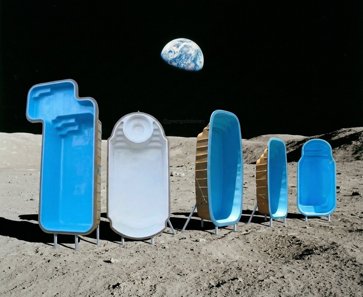 Greengo Dictionary 🦜 tweet media