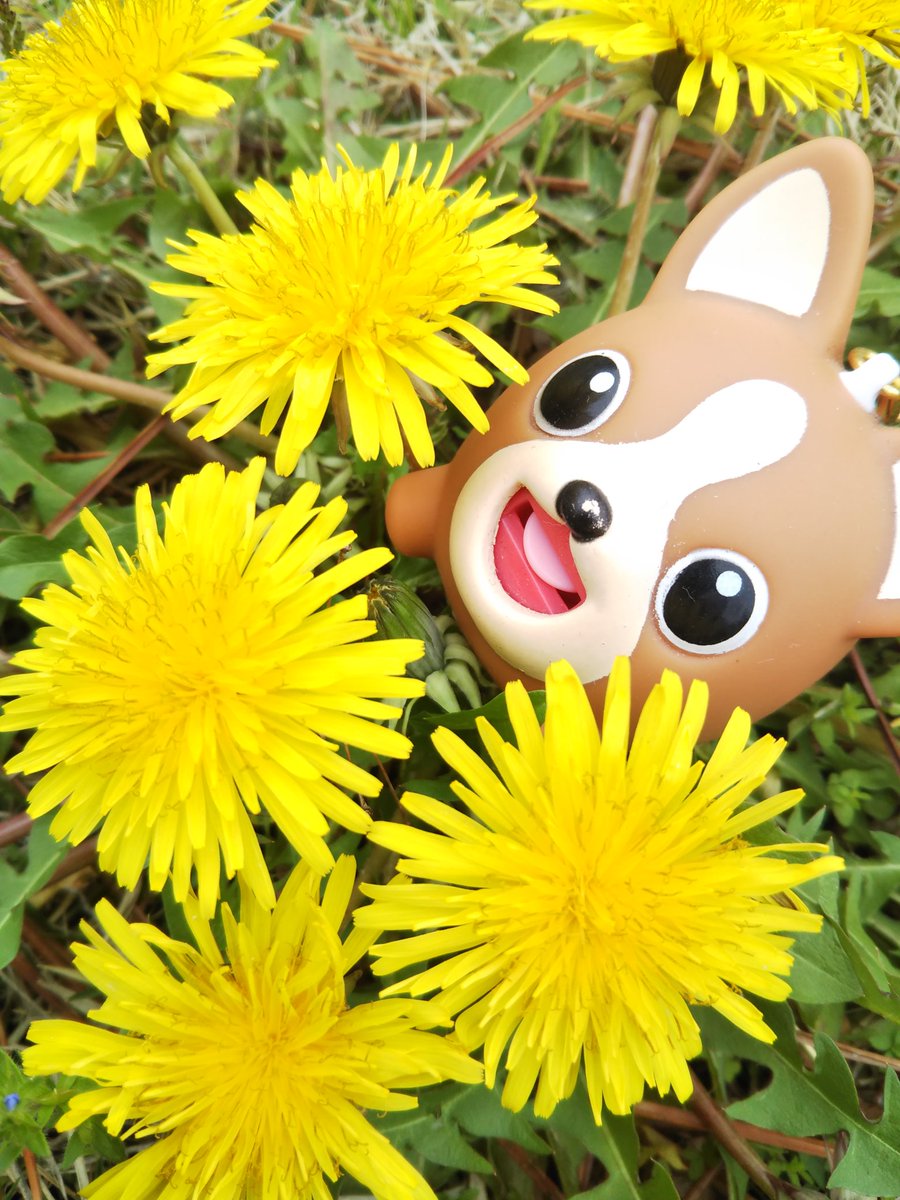 MusicLabo写真部 tweet media