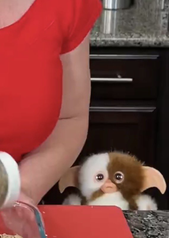 Real LLama with No Drama tweet media