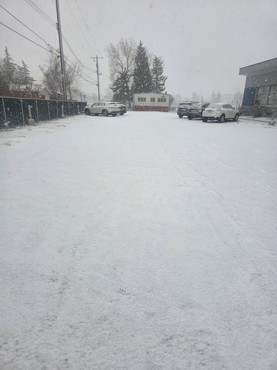 Después de 9 inviernos🇨🇦, considero que los tolero bastante bien, pero ya cuando llega abril y sigue así es como kkkkjjjjjj🫩😮‍💨😮‍💨😵‍💫😵‍💫😵😵 mega bajón, me siento peor que  de nov a marzo.