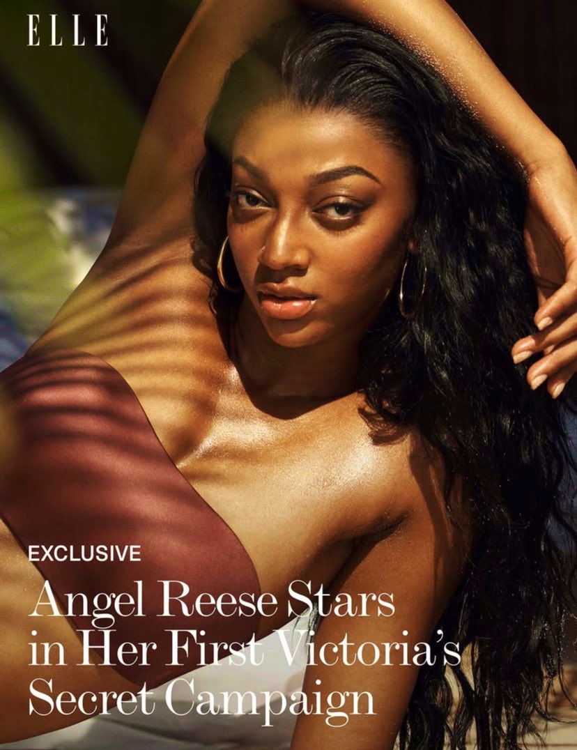 Angel Report🌹 tweet media