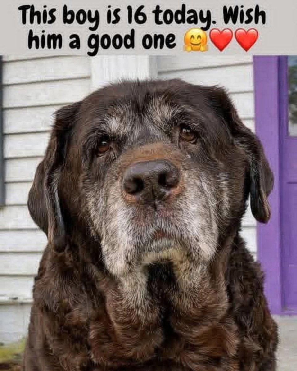 Beyond The Leash tweet media