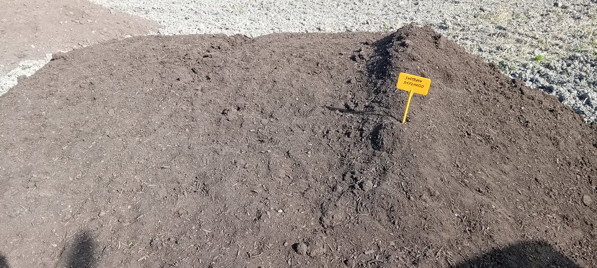 Alejandro Castilla Bonete tweet media