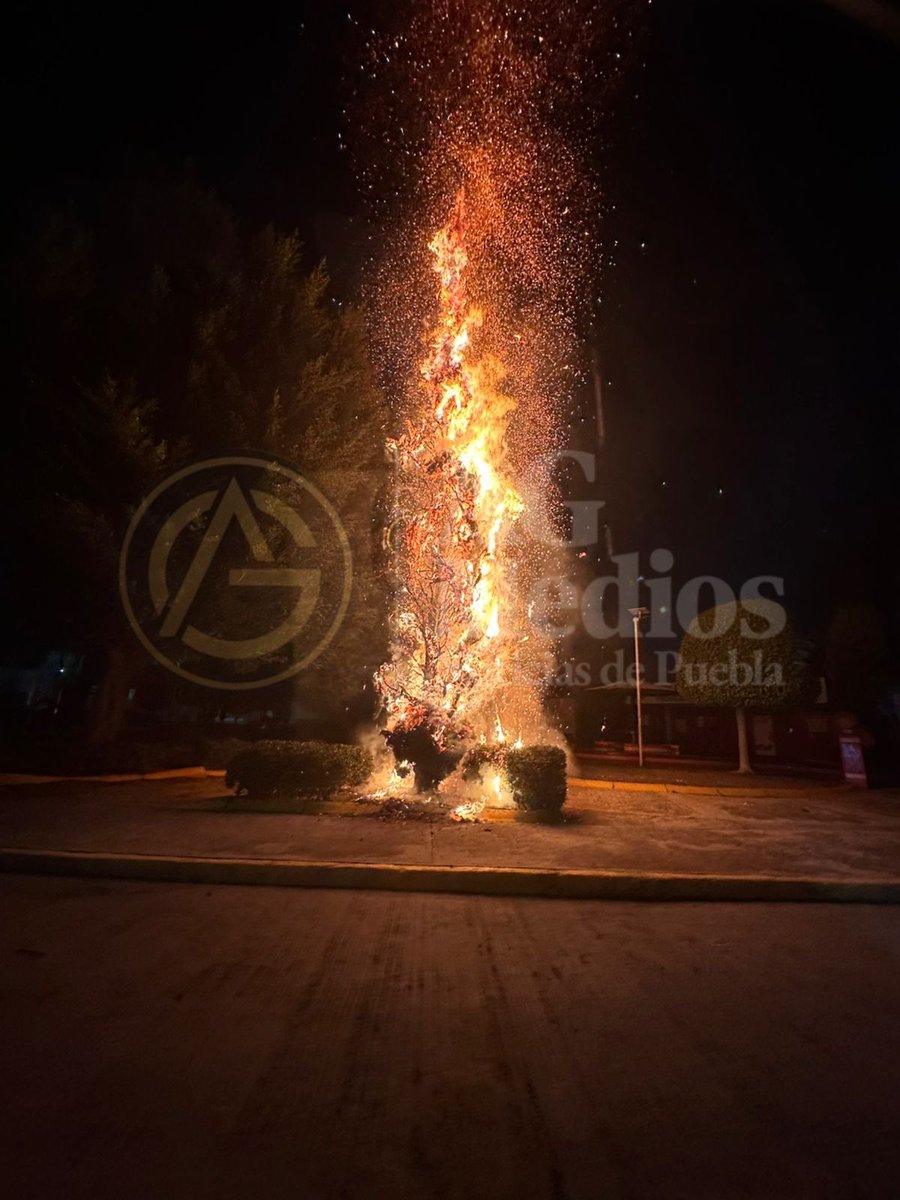 AG Medios | Noticias de Puebla tweet media