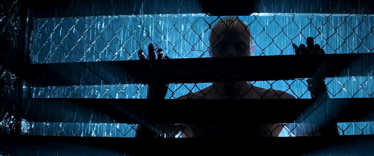 Jacob Calta tweet media