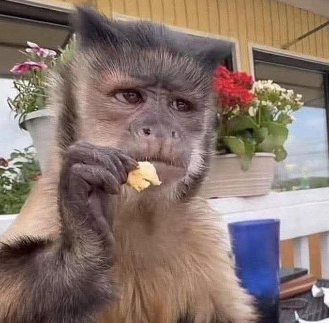 ‍ ‍ ‍ 𝗧𝗢𝗥𝗦𝗧𝗘𝗡 𝓞𝗟𝗔𝗙𝗦𝘿𝙊𝙏𝙏𝙀𝙍— tweet media