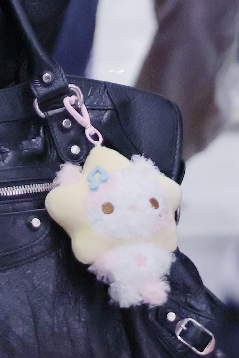 STELLARY Night tweet media