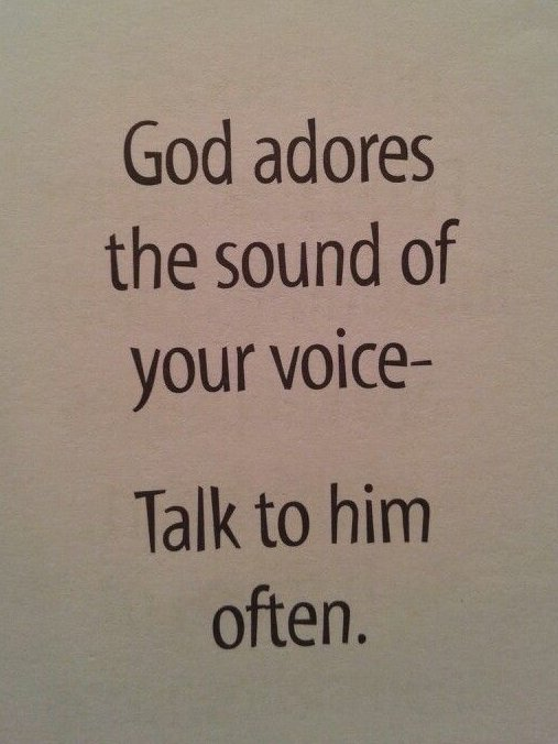 Neve 🌷 tweet media