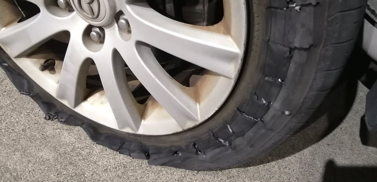 赤鼻のもぐら＠表裏比興の変な人🐰🍵 tweet media