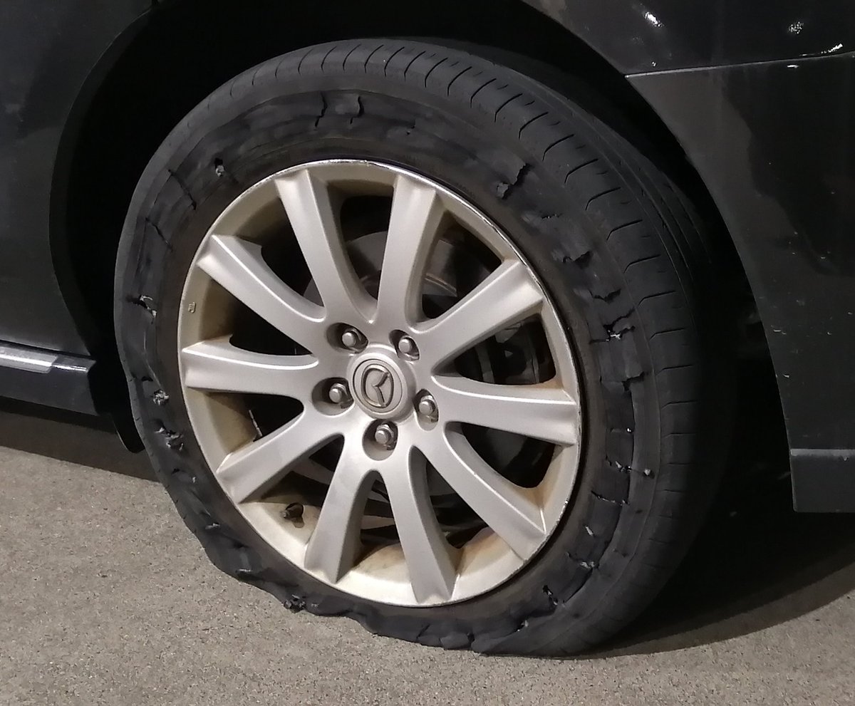 赤鼻のもぐら＠表裏比興の変な人🐰🍵 tweet media