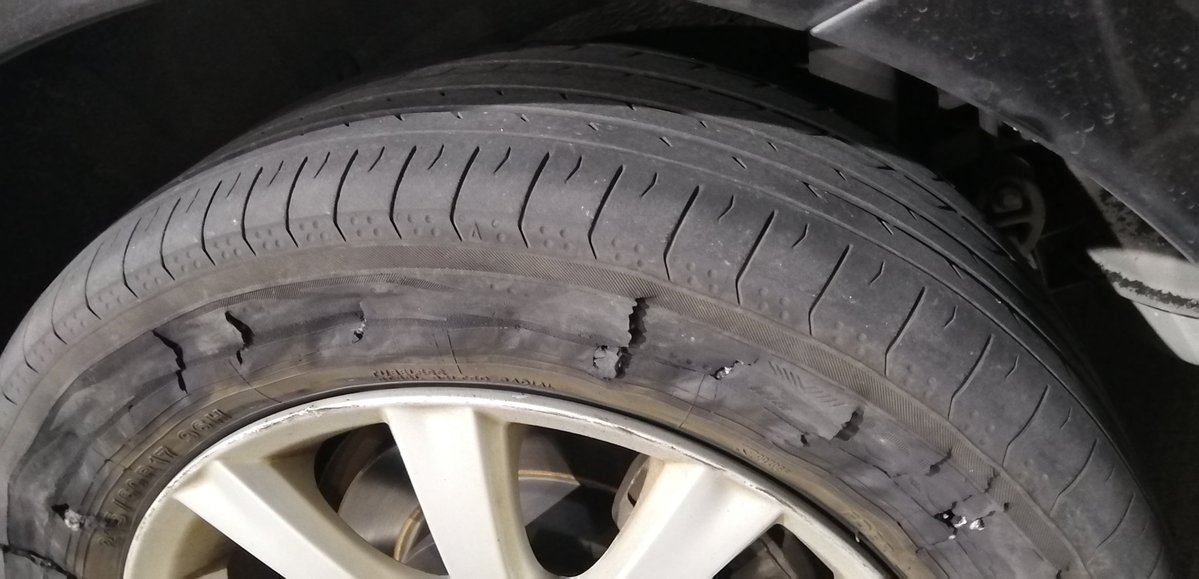 赤鼻のもぐら＠表裏比興の変な人🐰🍵 tweet media