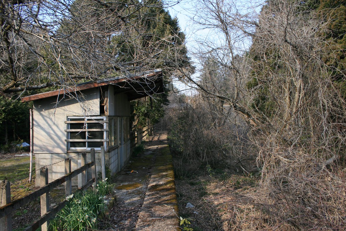 はまち tweet media