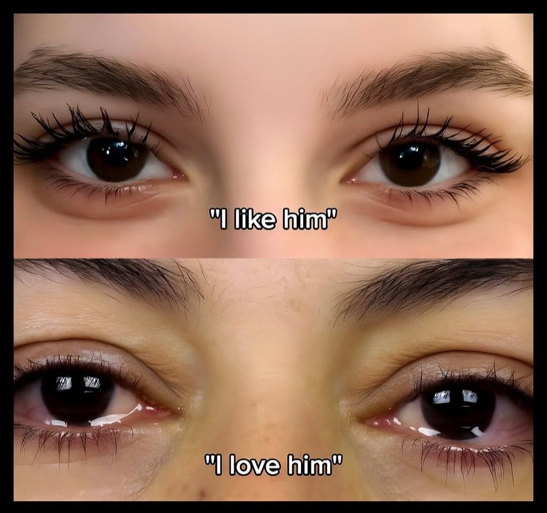 feelings ღ tweet media