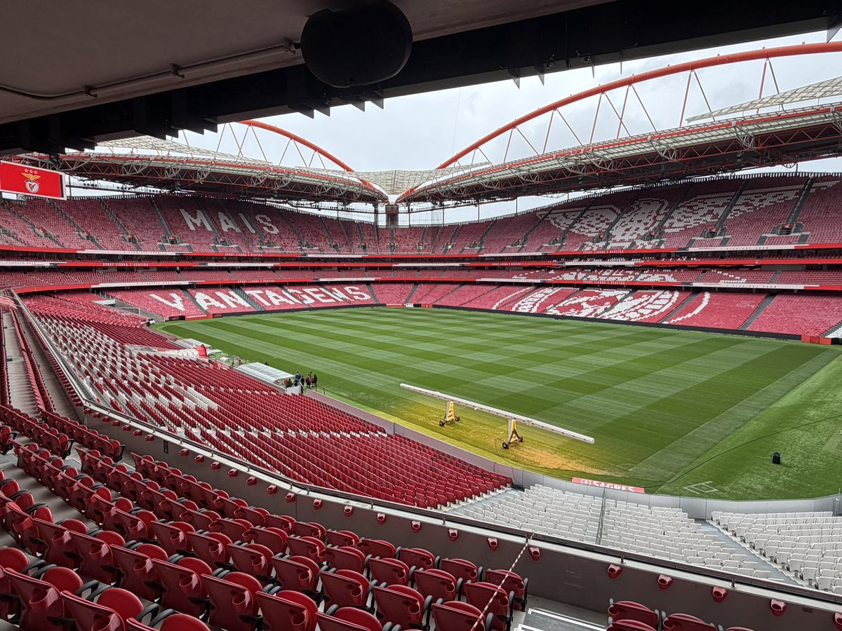 Paul Antino tweet media