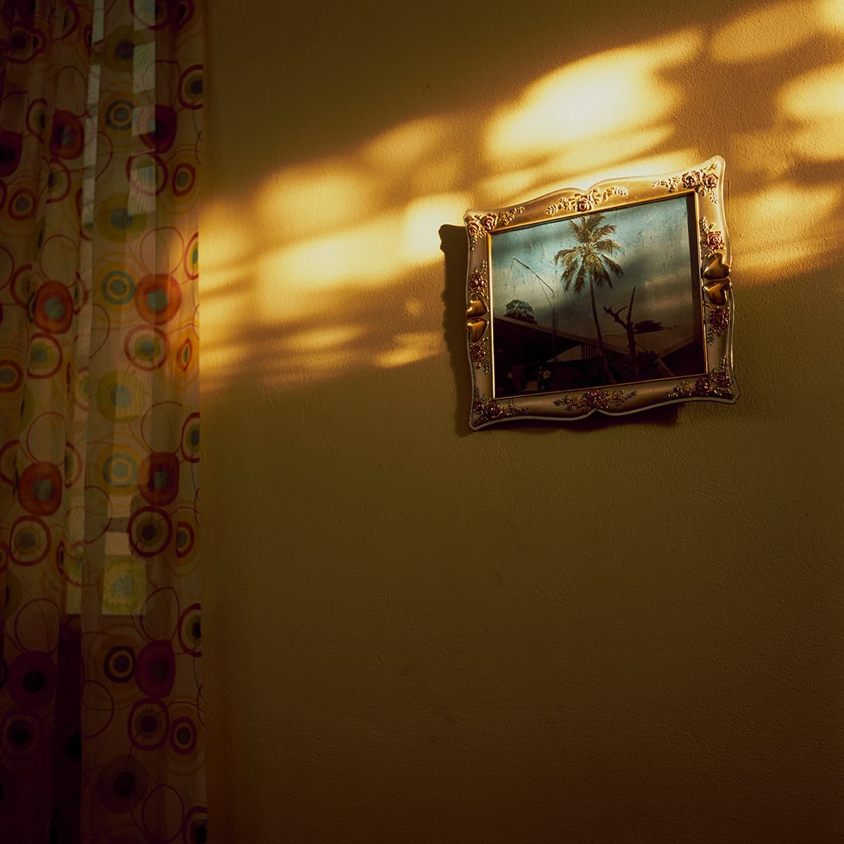 Cik ala t'cha tweet media