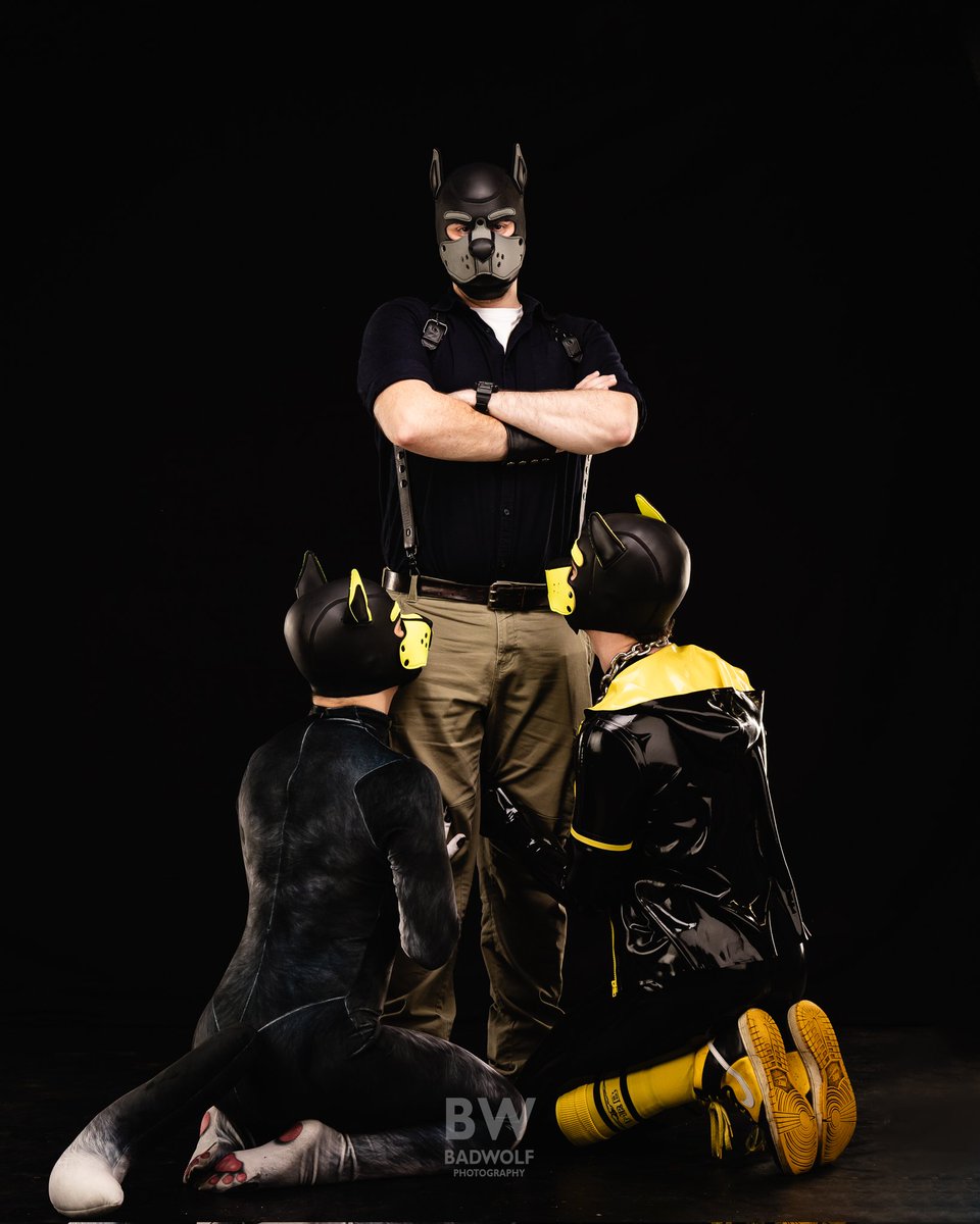 Bad Wolf Photography tweet media