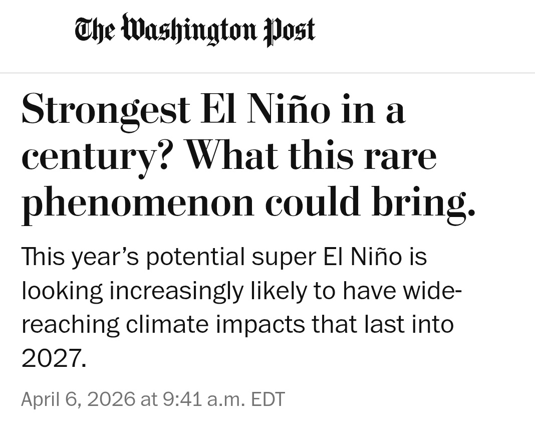 Leon Simons 🌍 tweet media