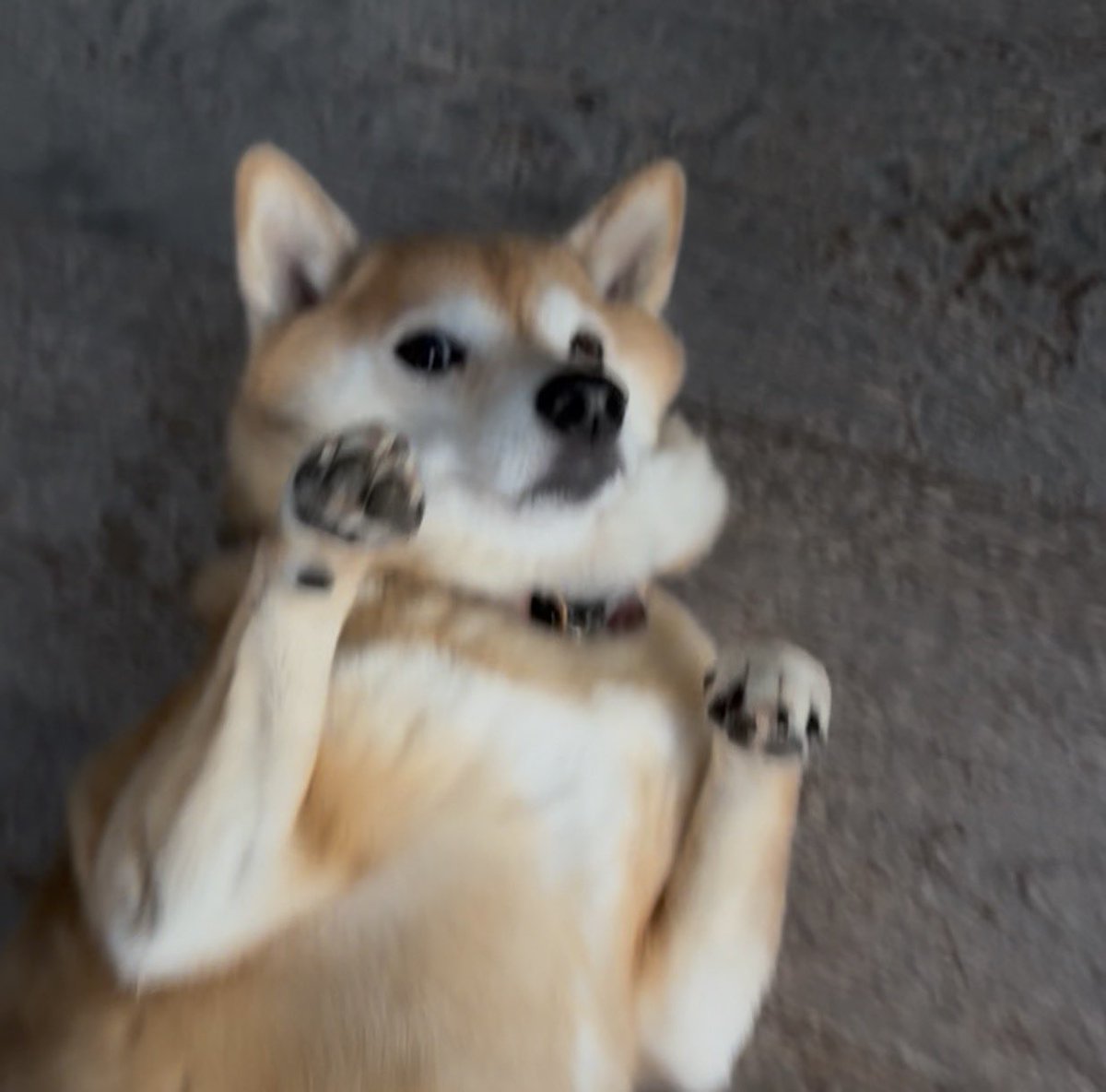 rrunnfastt tweet media