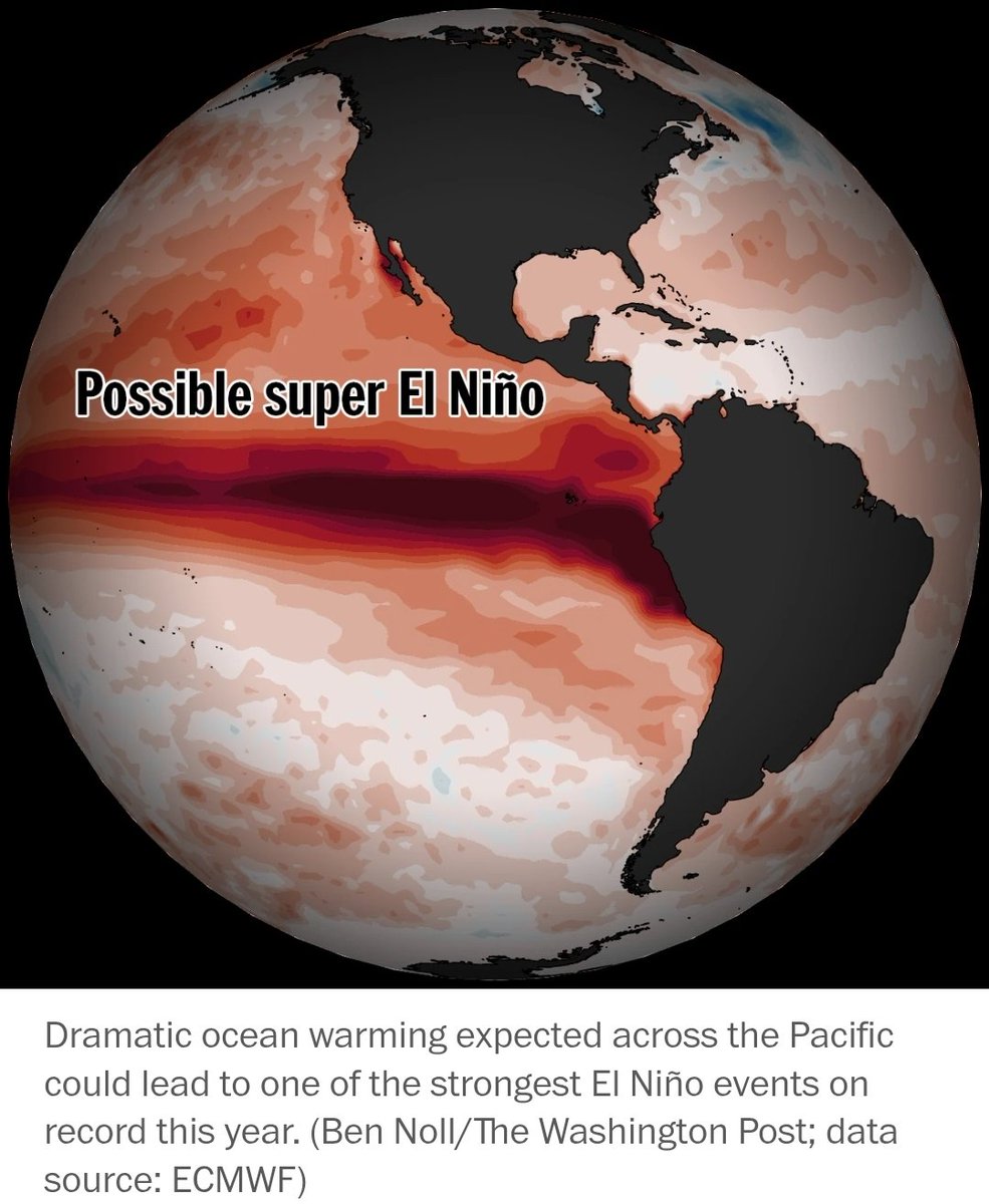 Leon Simons 🌍 tweet media