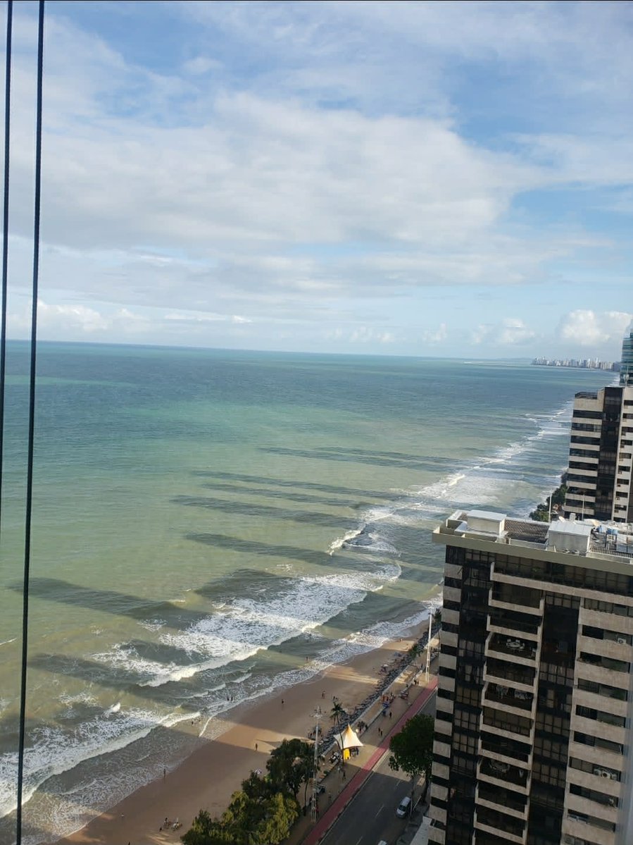 se acácio me quiseres tweet media