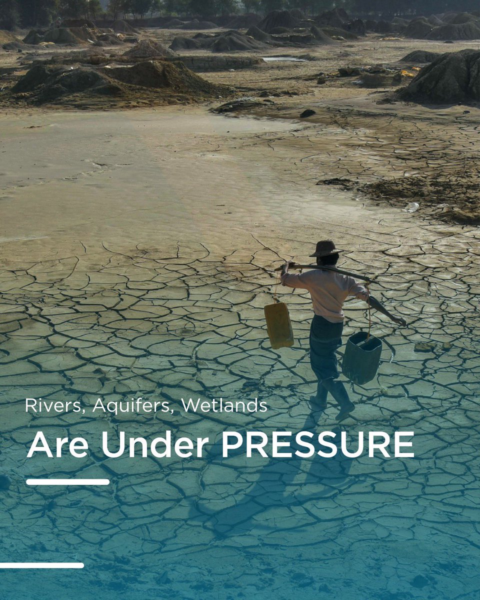 Blue Peace Middle East tweet media