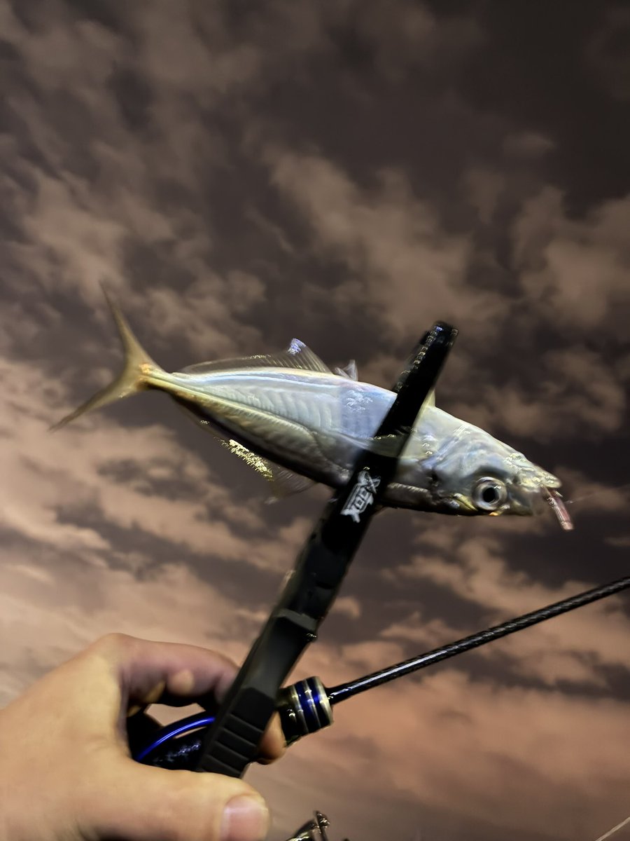 カモっちゃ(´ω`*) tweet media