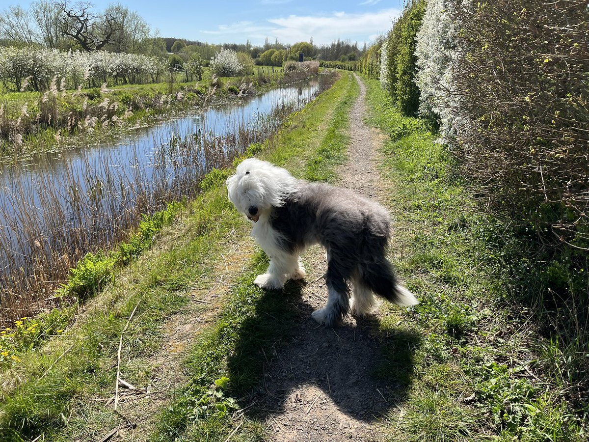 Rhys and 🌈Harry 🇺🇦🌻 tweet media