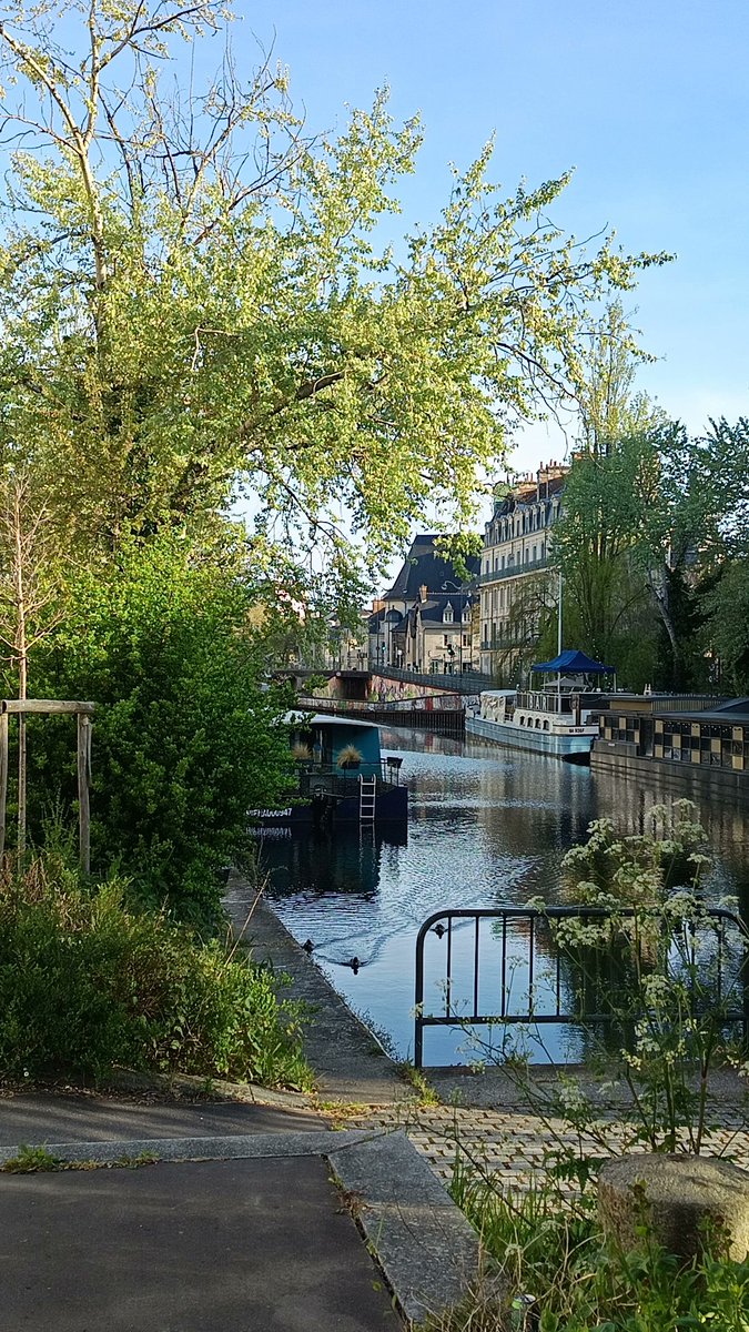 Diane_Mooon's tweet image. Little walk through green vibes ☀️💚

#photooftheday #photography #balade #nature #enjoylittlethings #purplevibes 💜