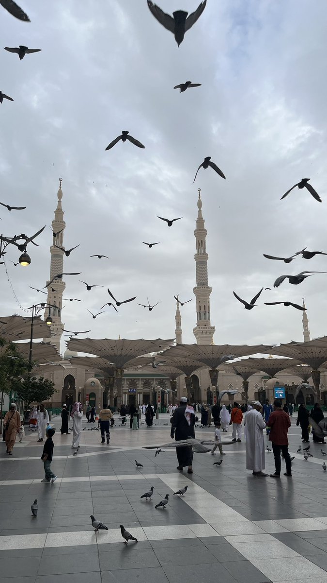 دُ ر ر tweet media