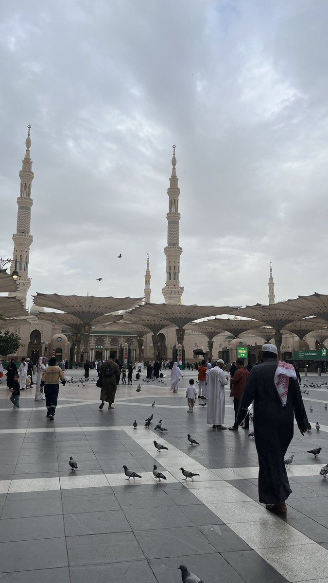 دُ ر ر tweet media