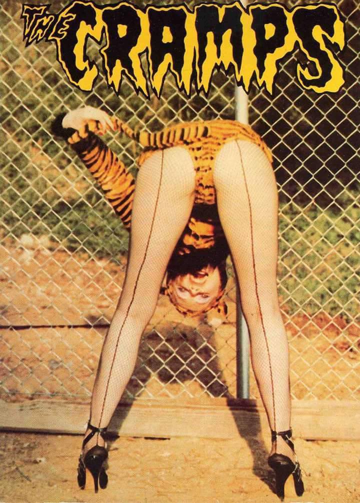 𝗚𝗘𝗡𝗘𝗥𝗔𝗧𝗜𝗢𝗡 𝗢𝗙 𝗦𝗖𝗔𝗥𝗦 tweet media