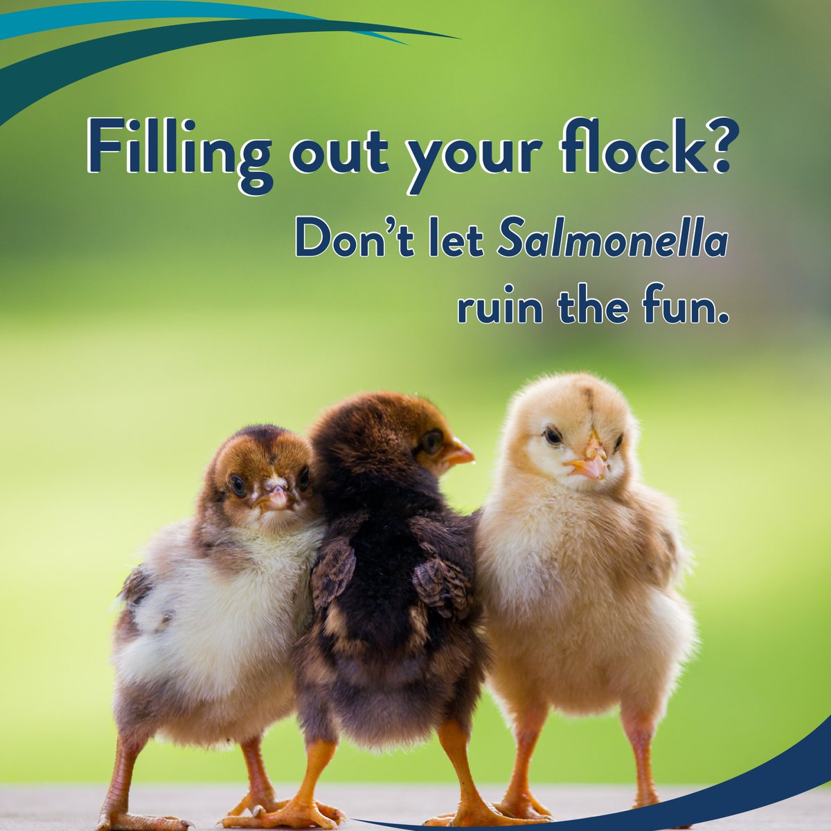 mnhealth tweet media