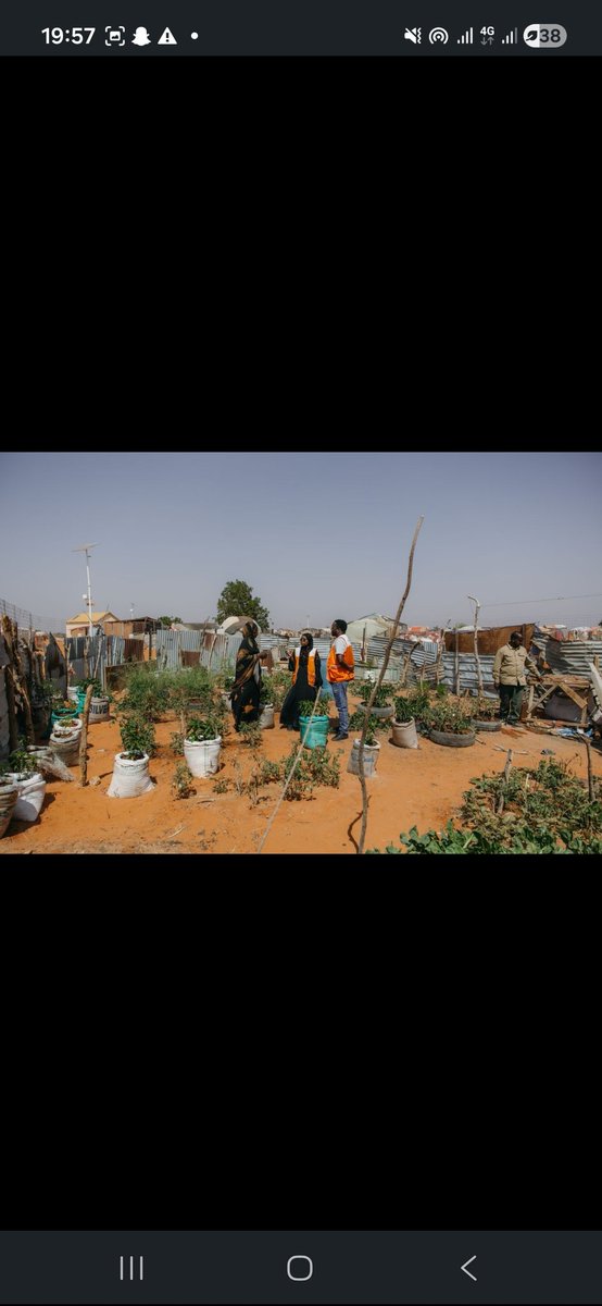 Ali A Sabriye 🇸🇴 × 🇪🇷(Swe) tweet media