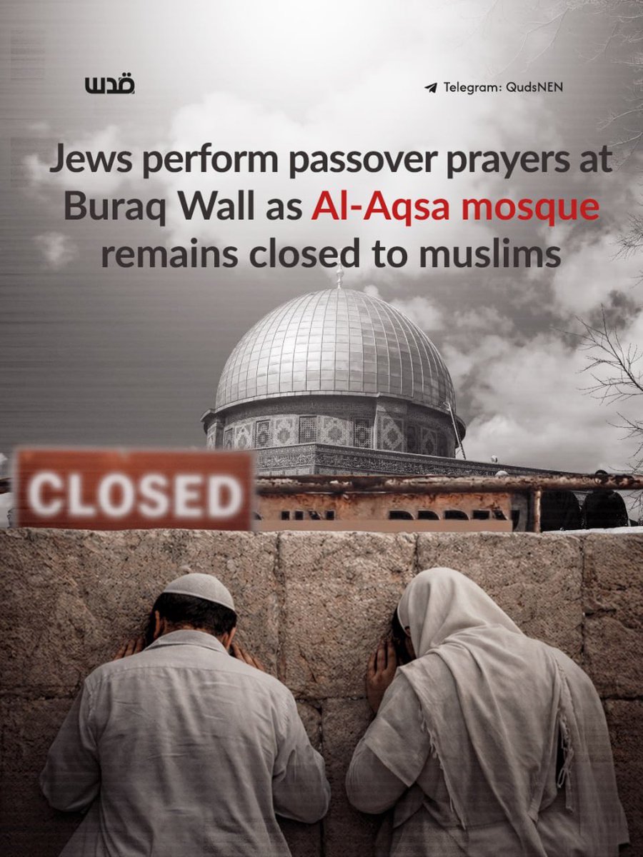 Quds News Network tweet media