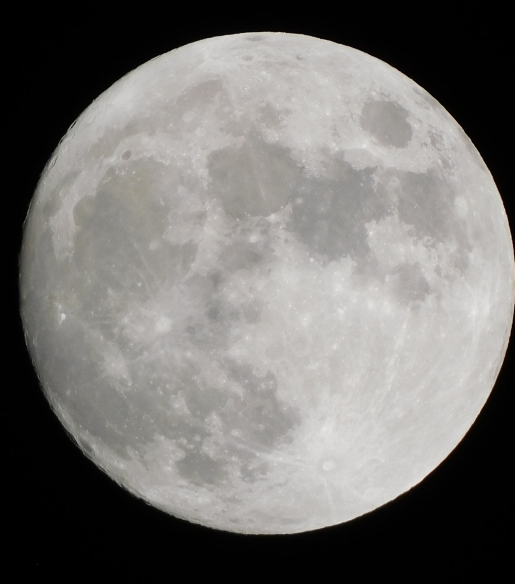 Dr._Haole_MadMatto66 tweet media